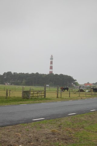 IMG_1519